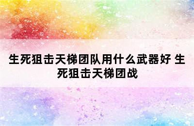 生死狙击天梯团队用什么武器好 生死狙击天梯团战